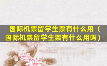 国际机票留学生票有什么用（国际机票留学生票有什么用吗）