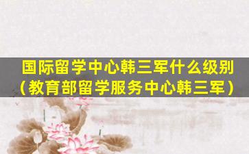 国际留学中心韩三军什么级别（教育部留学服务中心韩三军）