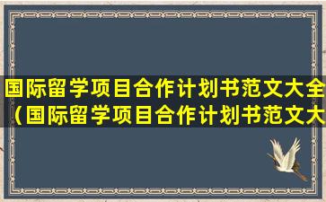 国际留学项目合作计划书范文大全（国际留学项目合作计划书范文大全图片）