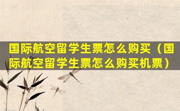 国际航空留学生票怎么购买（国际航空留学生票怎么购买机票）