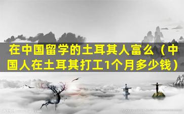在中国留学的土耳其人富么（中国人在土耳其打工1个月多少钱）