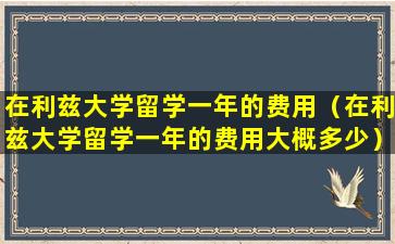 在利兹大学留学一年的费用（在利兹大学留学一年的费用大概多少）