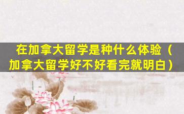 在加拿大留学是种什么体验（加拿大留学好不好看完就明白）