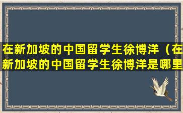 在新加坡的中国留学生徐博洋（在新加坡的中国留学生徐博洋是哪里人）