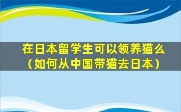 在日本留学生可以领养猫么（如何从中国带猫去日本）