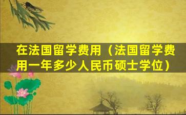 在法国留学费用（法国留学费用一年多少人民币硕士学位）