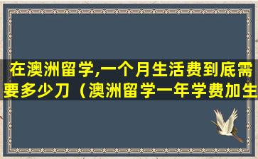在澳洲留学,一个月生活费到底需要多少刀（澳洲留学一年学费加生活费要多少人民币）