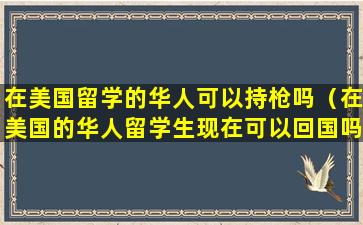 在美国留学的华人可以持枪吗（在美国的华人留学生现在可以回国吗）