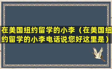 在美国纽约留学的小李（在美国纽约留学的小李电话说您好这里是）