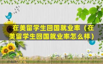 在美留学生回国就业率（在美留学生回国就业率怎么样）