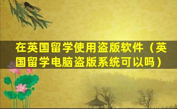 在英国留学使用盗版软件（英国留学电脑盗版系统可以吗）