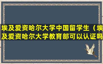 埃及爱资哈尔大学中国留学生（埃及爱资哈尔大学教育部可以认证吗）