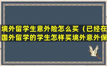 境外留学生意外险怎么买（已经在国外留学的学生怎样买境外意外保险）
