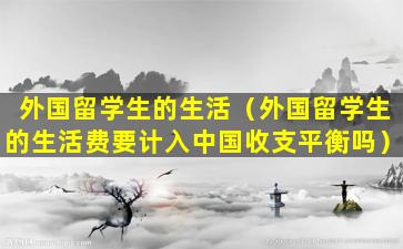 外国留学生的生活（外国留学生的生活费要计入中国收支平衡吗）