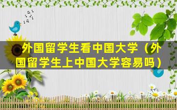 外国留学生看中国大学（外国留学生上中国大学容易吗）