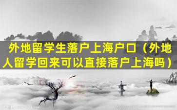 外地留学生落户上海户口（外地人留学回来可以直接落户上海吗）