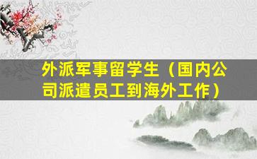 外派军事留学生（国内公司派遣员工到海外工作）