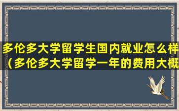 多伦多大学留学生国内就业怎么样（多伦多大学留学一年的费用大概要多少）