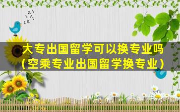 大专出国留学可以换专业吗（空乘专业出国留学换专业）