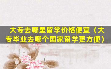 大专去哪里留学价格便宜（大专毕业去哪个国家留学更方便）