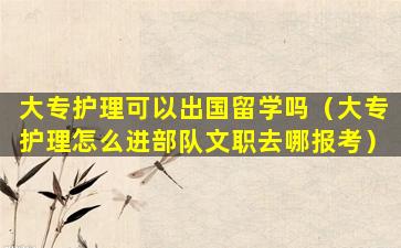 大专护理可以出国留学吗（大专护理怎么进部队文职去哪报考）
