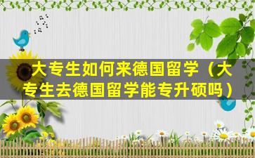 大专生如何来德国留学（大专生去德国留学能专升硕吗）