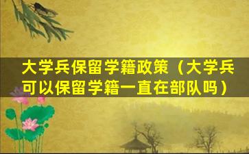 大学兵保留学籍政策（大学兵可以保留学籍一直在部队吗）