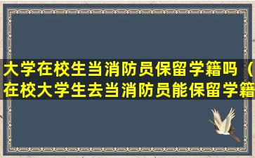 大学在校生当消防员保留学籍吗（在校大学生去当消防员能保留学籍吗）