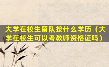 大学在校生留队按什么学历（大学在校生可以考教师资格证吗）