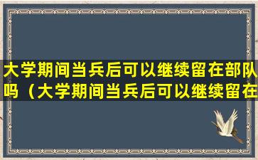 大学期间当兵后可以继续留在部队吗（大学期间当兵后可以继续留在部队吗男生）