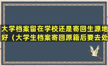 大学档案留在学校还是寄回生源地好（大学生档案寄回原籍后要去处理吗）