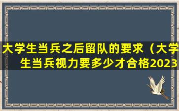 大学生当兵之后留队的要求（大学生当兵视力要多少才合格2023）
