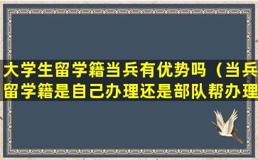 大学生留学籍当兵有优势吗（当兵留学籍是自己办理还是部队帮办理）