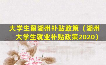 大学生留湖州补贴政策（湖州大学生就业补贴政策2020）