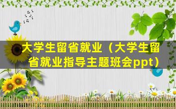 大学生留省就业（大学生留省就业指导主题班会ppt）