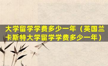 大学留学学费多少一年（英国兰卡斯特大学留学学费多少一年）