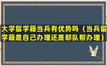 大学留学籍当兵有优势吗（当兵留学籍是自己办理还是部队帮办理）