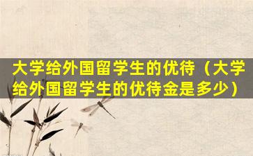 大学给外国留学生的优待（大学给外国留学生的优待金是多少）