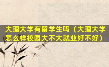 大理大学有留学生吗（大理大学怎么样校园大不大就业好不好）