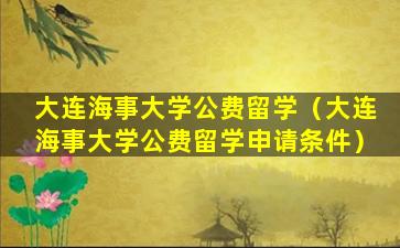 大连海事大学公费留学（大连海事大学公费留学申请条件）
