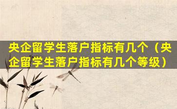央企留学生落户指标有几个（央企留学生落户指标有几个等级）
