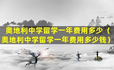奥地利中学留学一年费用多少（奥地利中学留学一年费用多少钱）