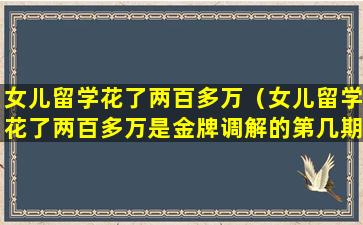 女儿留学花了两百多万（女儿留学花了两百多万是金牌调解的第几期）