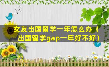 女友出国留学一年怎么办（出国留学gap一年好不好）