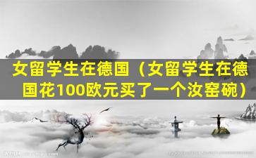 女留学生在德国（女留学生在德国花100欧元买了一个汝窑碗）