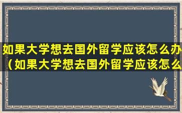 如果大学想去国外留学应该怎么办（如果大学想去国外留学应该怎么办呢）