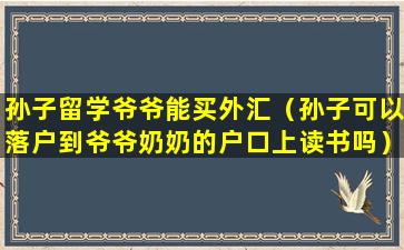 孙子留学爷爷能买外汇（孙子可以落户到爷爷奶奶的户口上读书吗）