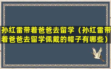 孙红雷带着爸爸去留学（孙红雷带着爸爸去留学佩戴的帽子有哪些）