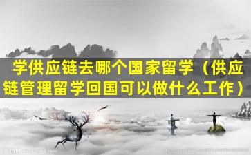学供应链去哪个国家留学（供应链管理留学回国可以做什么工作）