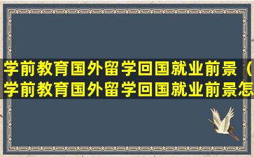 学前教育国外留学回国就业前景（学前教育国外留学回国就业前景怎么样）